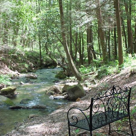 Private Creekside Cabin+Hot Tub,Pool Table, & Pets Ellijay Exterior photo