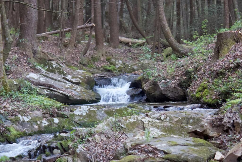 Private Creekside Cabin+Hot Tub,Pool Table, & Pets Ellijay Exterior photo